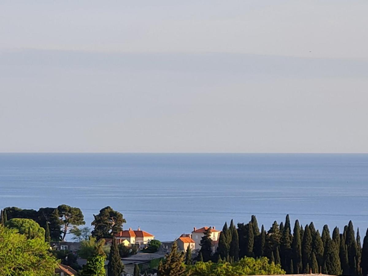 Sunspot Apartment - Beautiful View With Big Garden, Free Parking, Central Ντουμπρόβνικ Εξωτερικό φωτογραφία